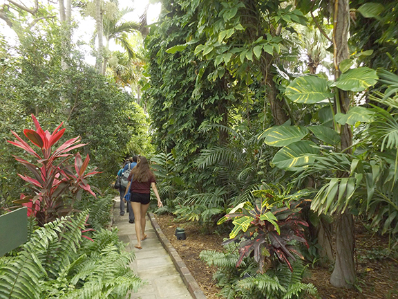 pathway-Ernest-Hemingway-House-Museum-Key-West