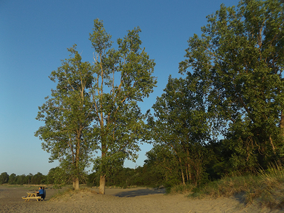 picnic-Presque-Isle-Lighthouse-Erie-Pennsylvania