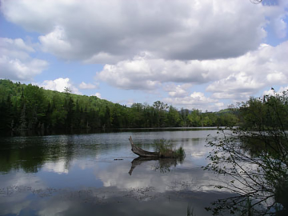 reflections-Umbagog-Lake