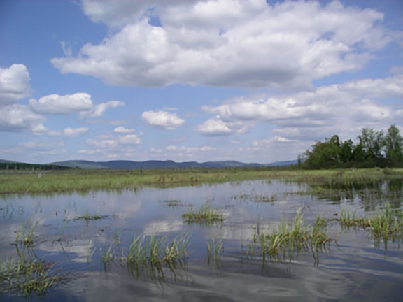 reflections-Umbagog-Lake2
