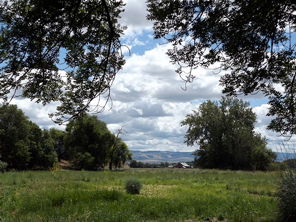 Whitman-Mission-National-Historic-Site-Walla-Walla3