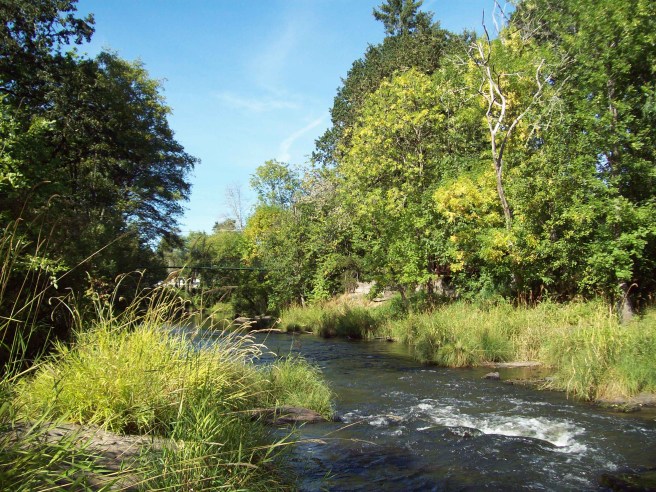 Coast-Fork-Willamette-River-at-Chambers-Covered-Bridge-Cottage-Grove
