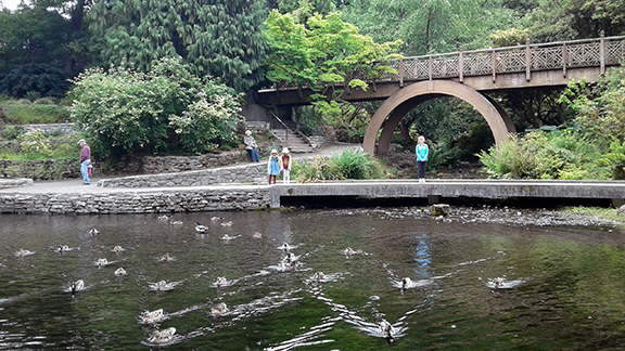 Crystal-Springs-Rhododendron-Garden-Portland11