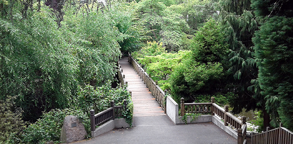 Crystal-Springs-Rhododendron-Garden-Portland22