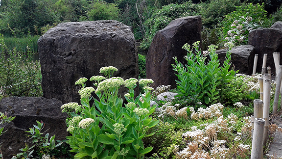 Crystal-Springs-Rhododendron-Garden-Portland7