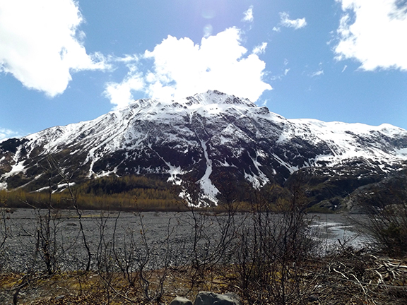 Exit-Glacier-View-Trail-near-Seward3