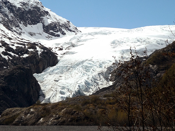 Exit-Glacier-View-Trail-near-Seward4