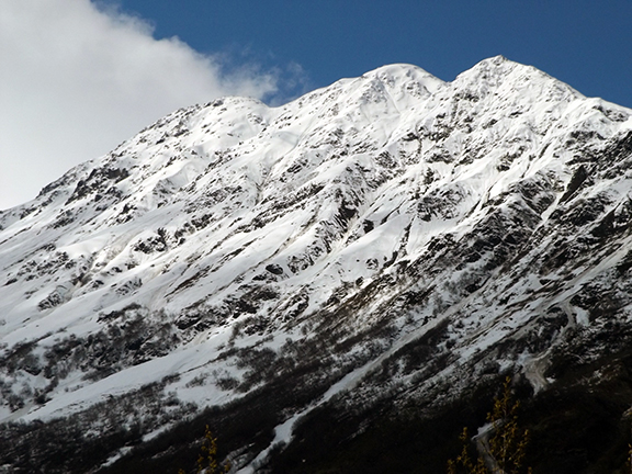 Exit-Glacier-View-Trail-near-Seward5