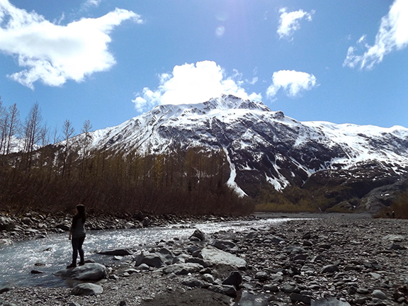 Exit-Glacier-View-Trail-near-Seward7