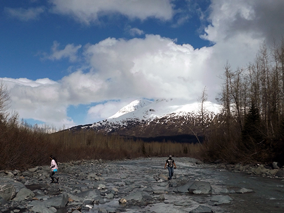 Exit-Glacier-View-Trail-near-Seward8