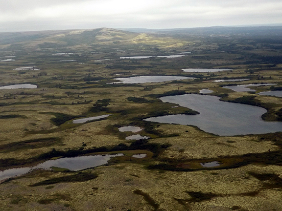 flight-from-Regal-Air-Anchorage-to-Katmai-National-Park-and-Preserve12