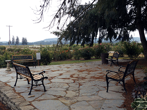 Heirloom-Roses-Saint-Paul-Oregon2