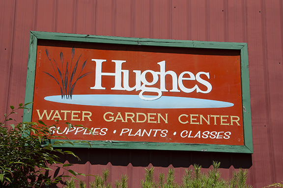 Hughes-Water-Gardens-Tualatin