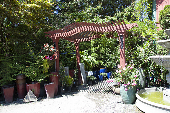 Hughes-Water-Gardens-Tualatin2