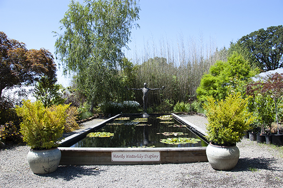 Hughes-Water-Gardens-Tualatin5