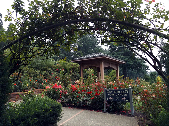 International-Rose-Test-Garden-Portland15.jpg