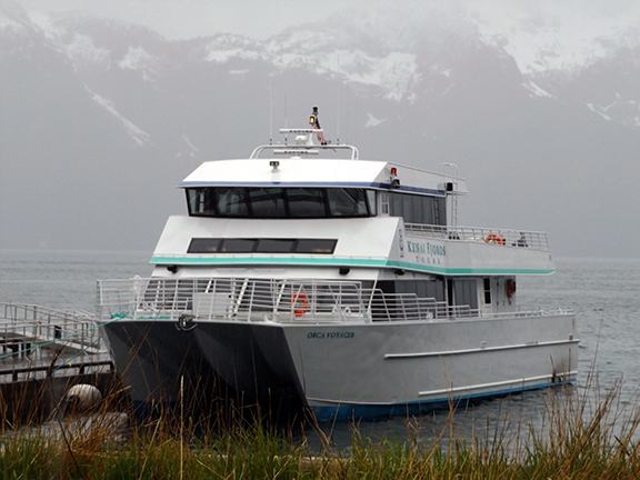 Kenai-Fjords-National-Park-boat-tour-Fox-Island5