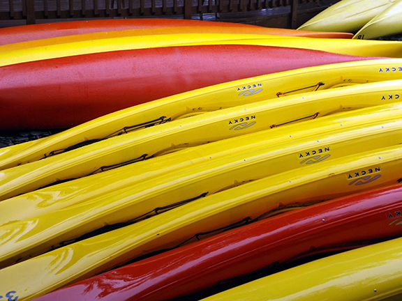 Kenai-Fjords-National-Park-boat-tour-Fox-Island6