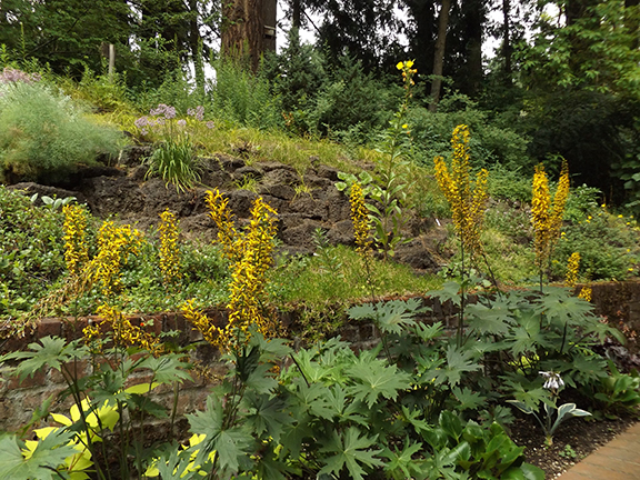 Leach-Botanical-Garden-Portland14