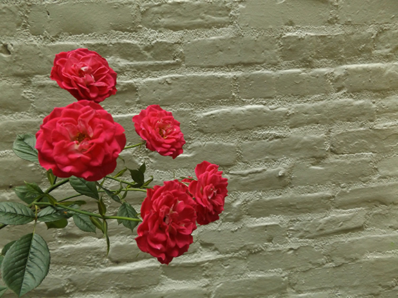 Leach-Botanical-Garden-Portland15