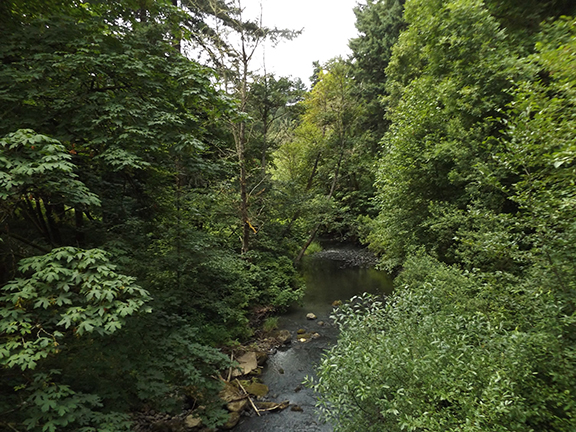 Leach-Botanical-Garden-Portland18