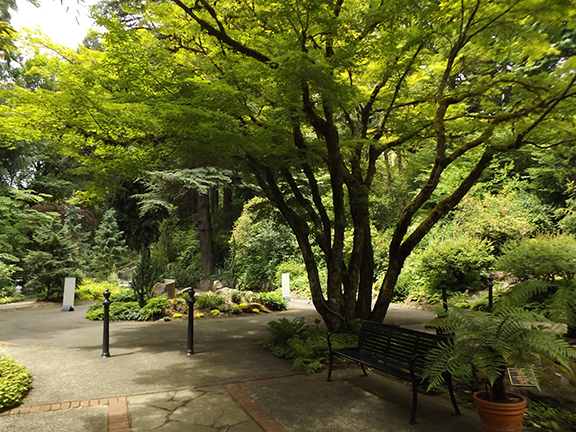 Leach-Botanical-Garden-Portland2