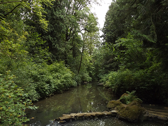 Leach-Botanical-Garden-Portland5