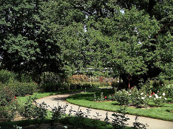 Owen-Rose-Garden-Eugene-Oregon5