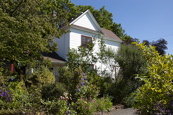 Rogerson-Clematis-Gardens-Lake-Oswego3
