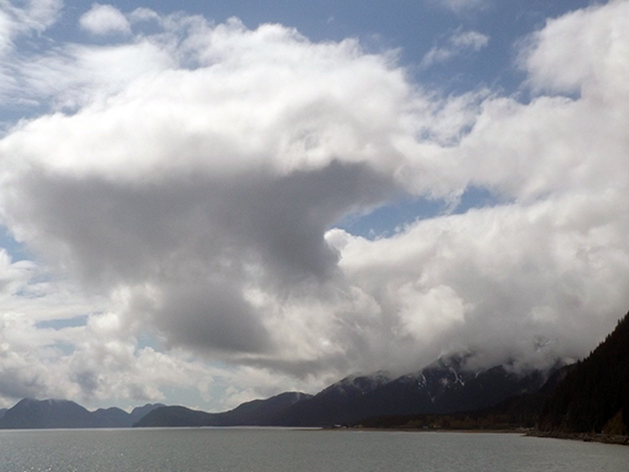 view-from-Alaska-Sea-Life-Center
