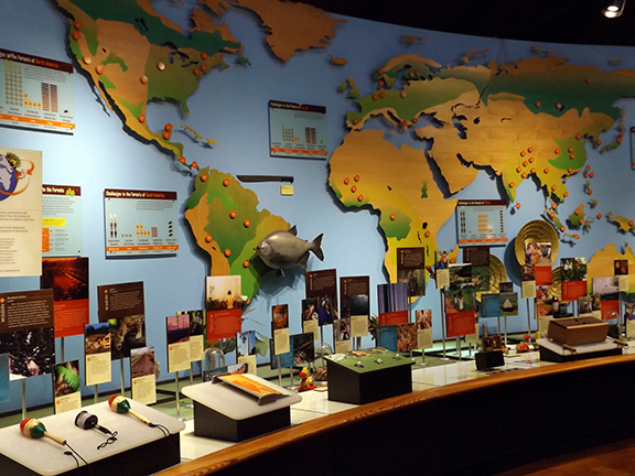 World-Forestry-Center-Portland11