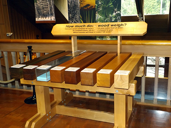 World-Forestry-Center-Portland12