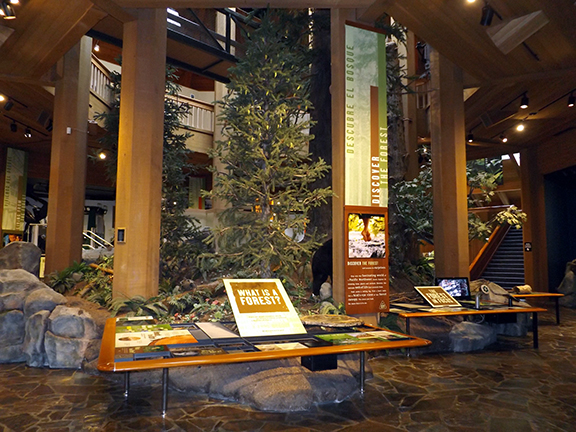 World-Forestry-Center-Portland4