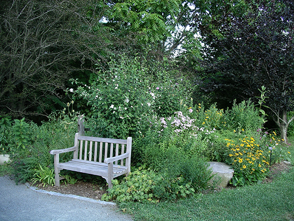 Acton-Arboretum-summer4