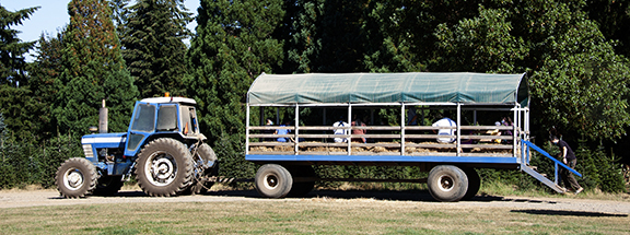 hayride-Lee-Farms-Tualatin-Oregon